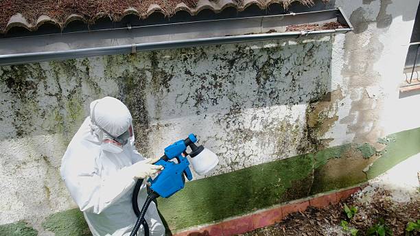Trusted Mold Inspection service in Dundas, VA - Cheap Mold Removal